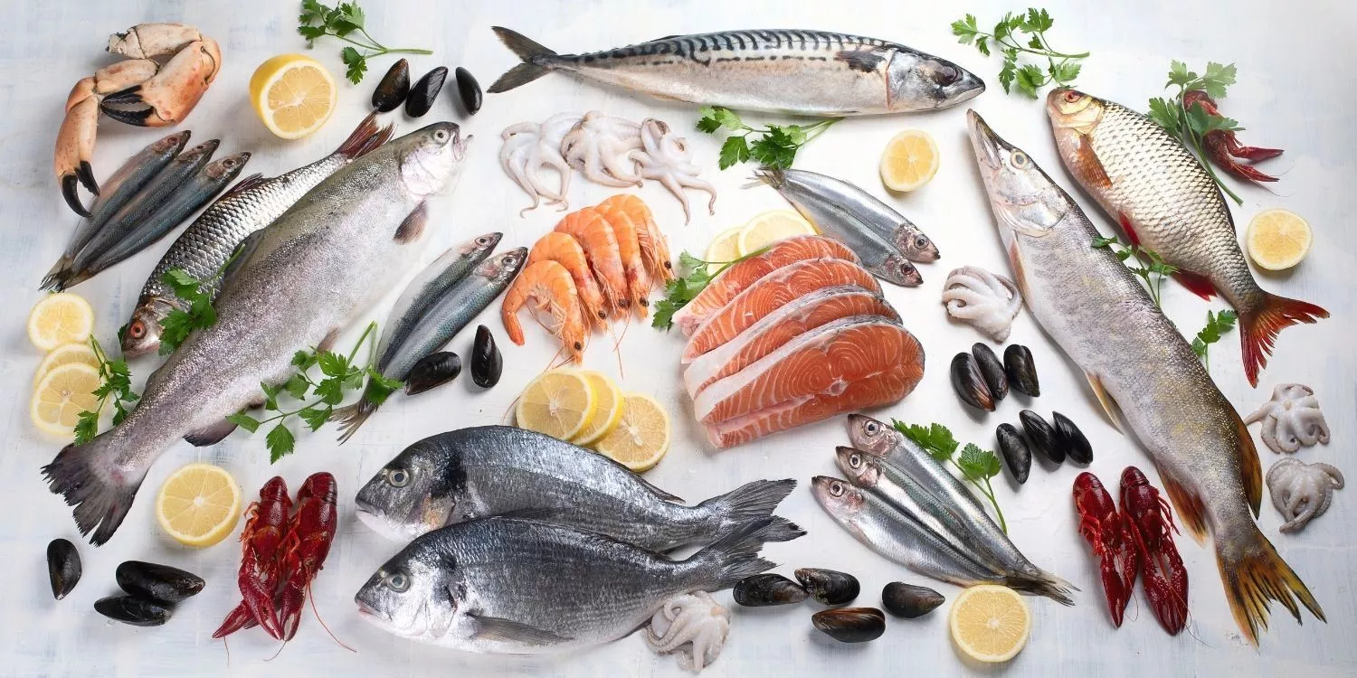 11 вкусных фактов о морепродуктах 