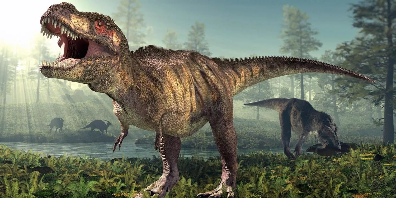 13 потрясающих фактов о тираннозавре рексе 