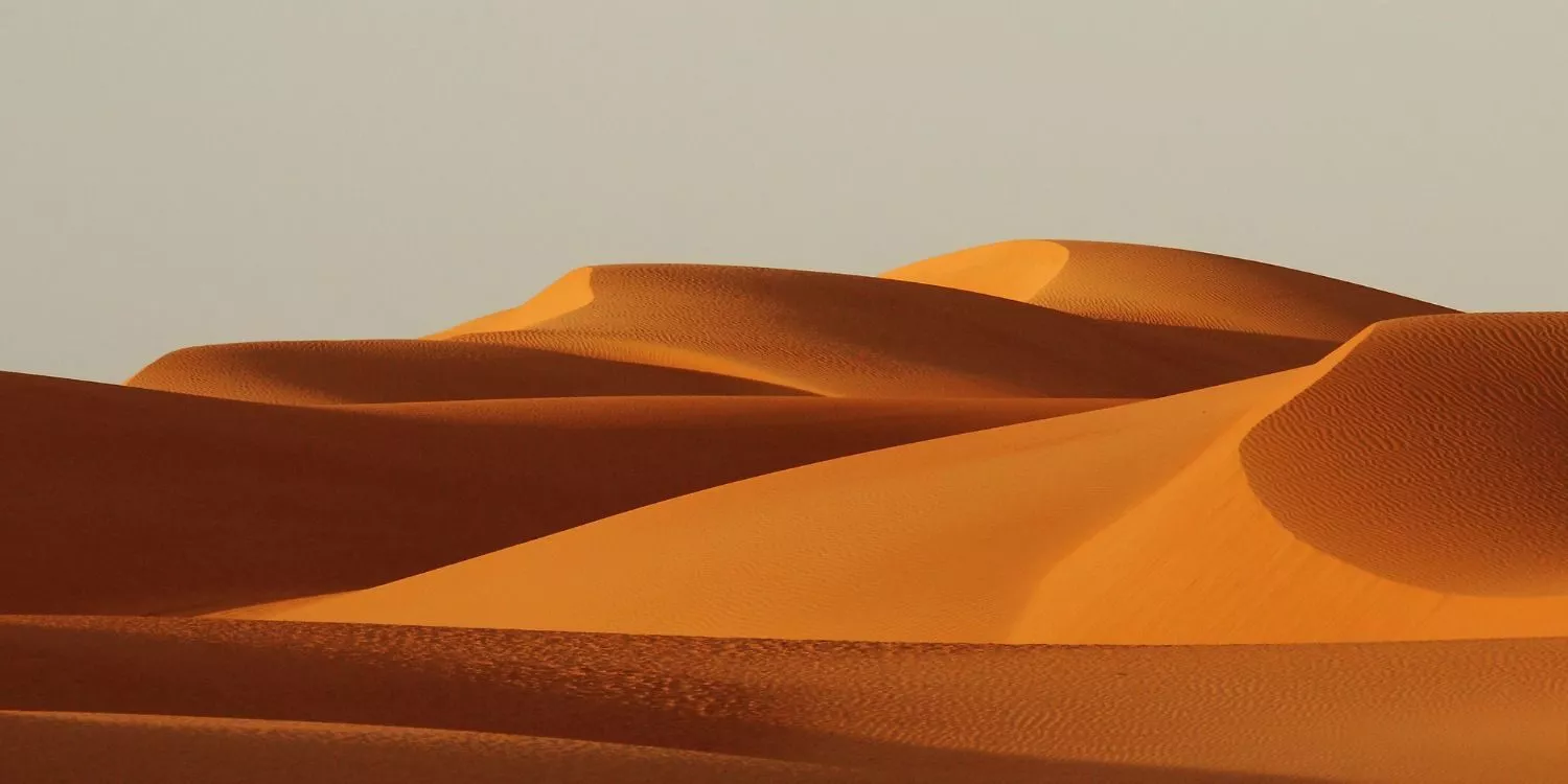Кто живет в пустыне Сахара?  