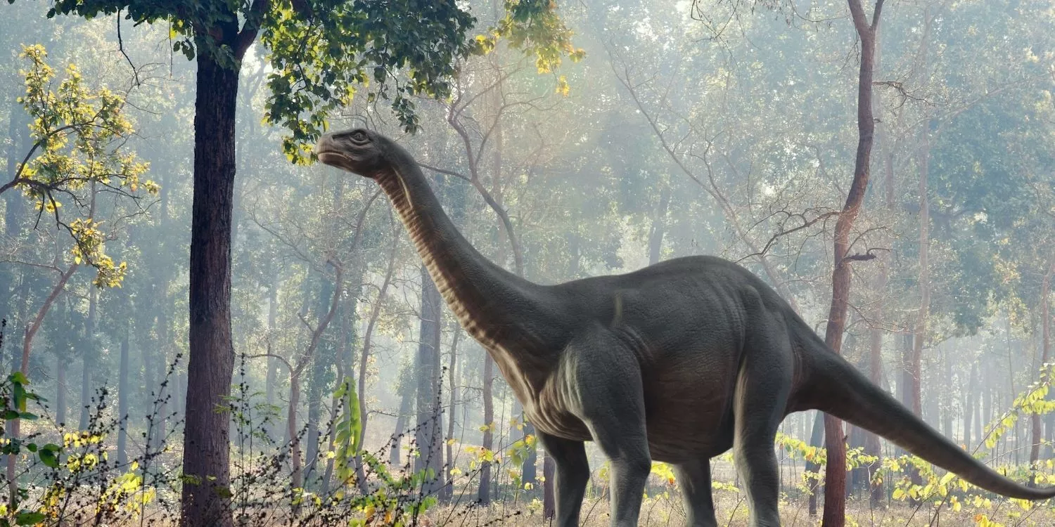 9 интересных фактов о бронтозавре