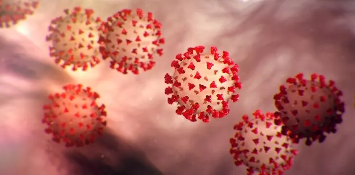 5 фактов о коронавирусе, которые вам следует знать 