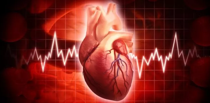 10 фактов о человеческом сердце 