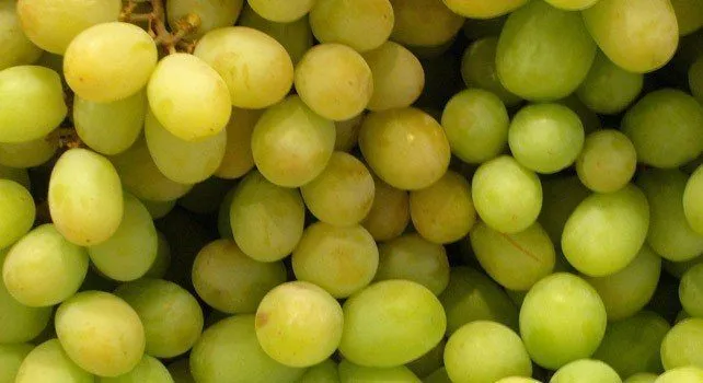 Несколько забавных фактов о винограде 