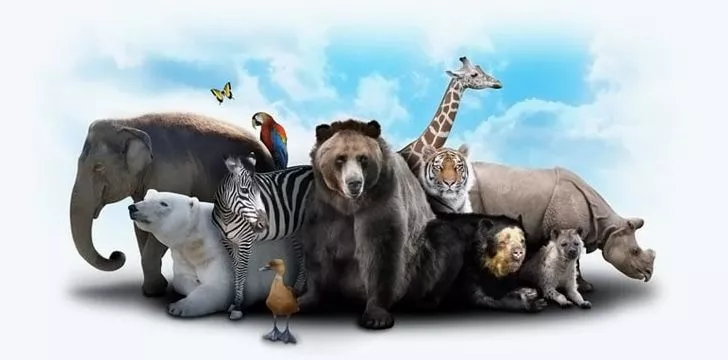 300 случайных фактов о животных 