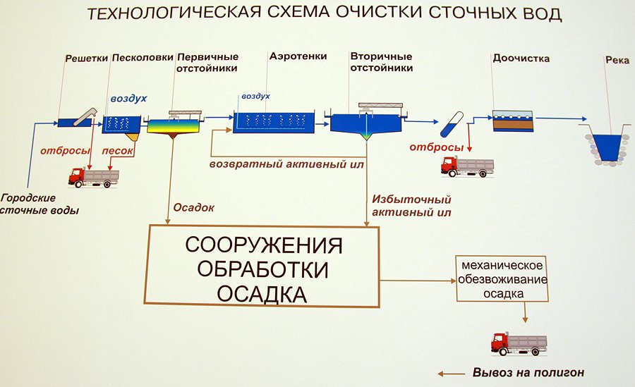 Куда течет канализация &ndash; Интересные факты
