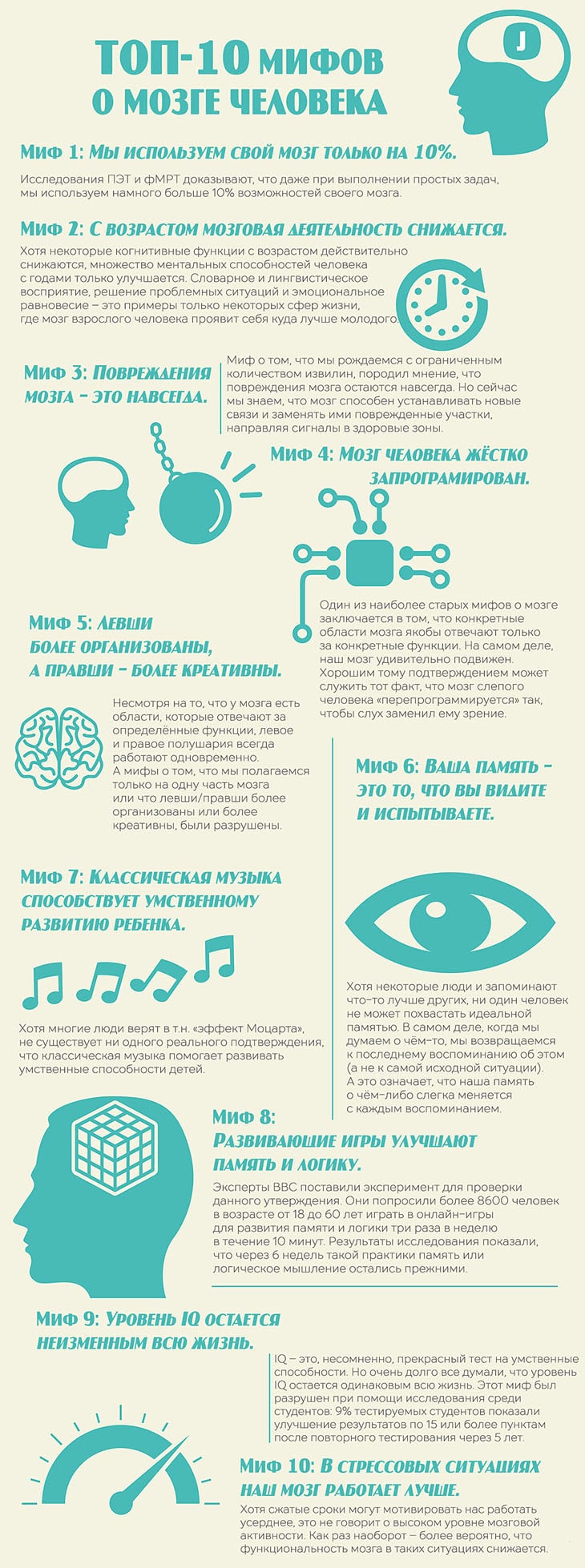 Мифы о мозге ТОП-10