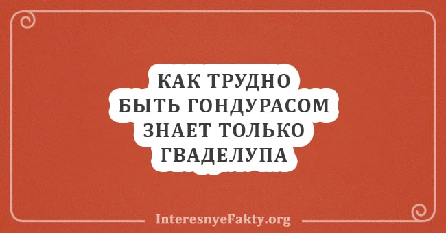 Не надо чесать ГонДypaс - лучшие анекдоты