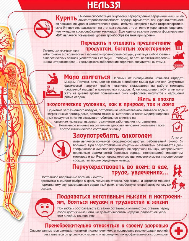 Профилактика сердечно-сосудистых заболеваний