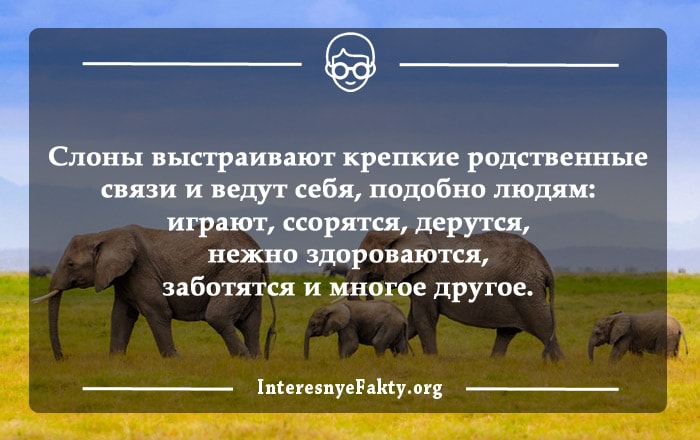 Интересные факты из жизни