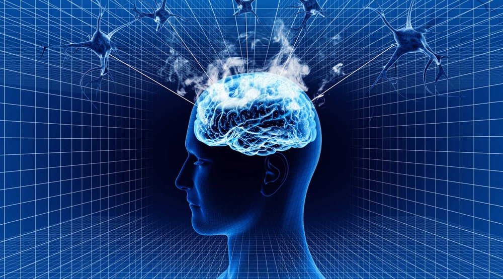 Тайны человеческого мозга - ТОП 7