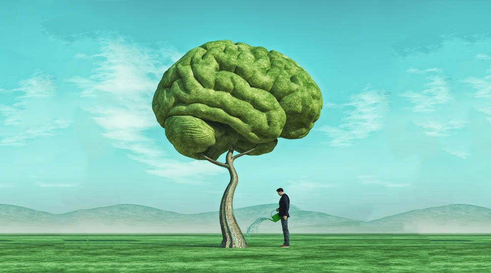 Сила мысли - Развитие сознания человека