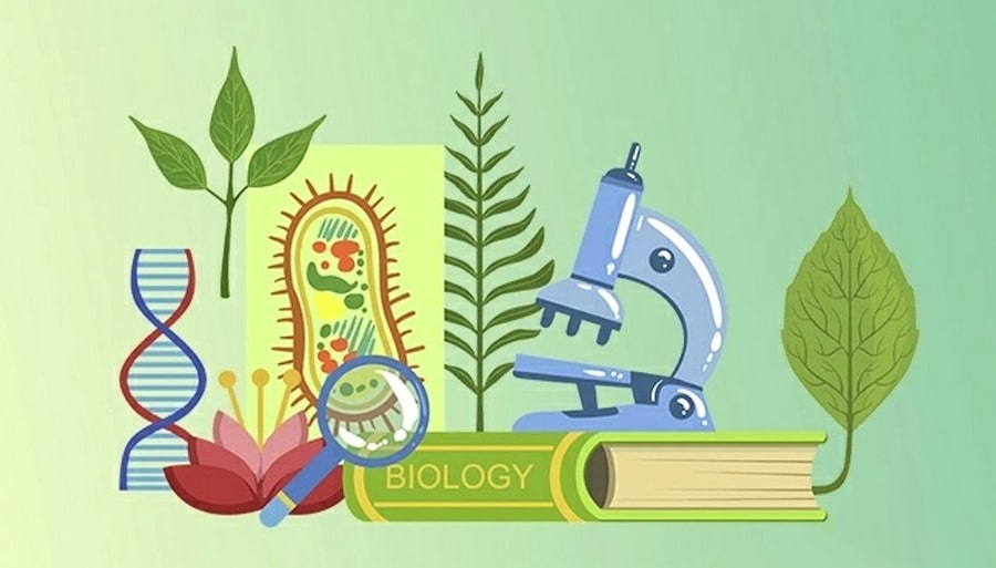 19 интересных фактов о биологии