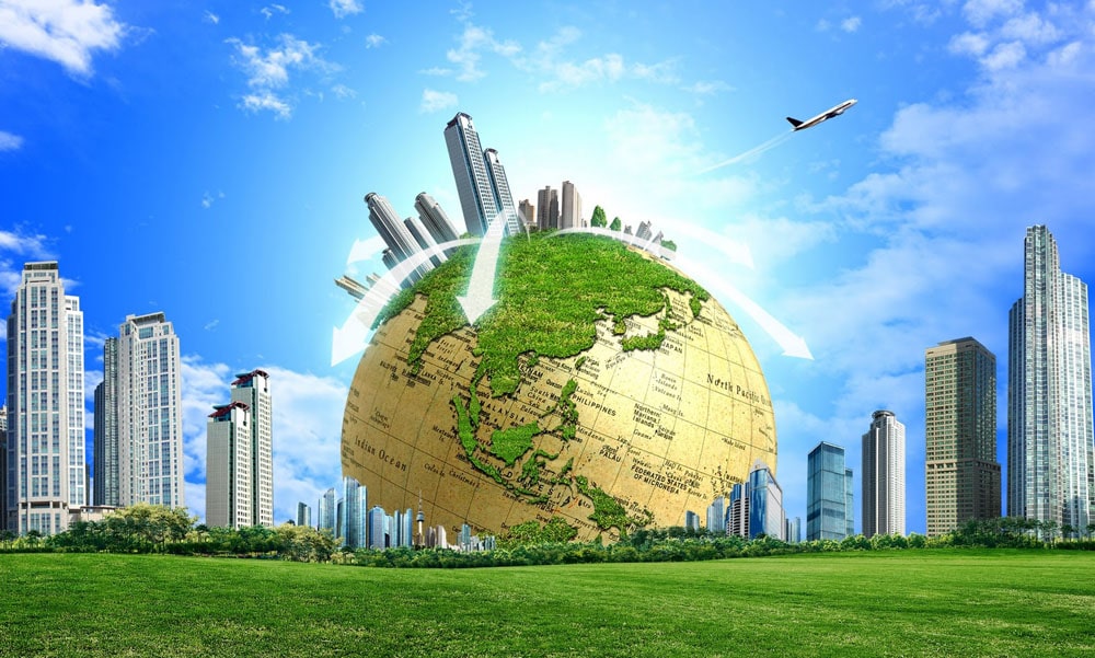 13 интересных фактов об экологии