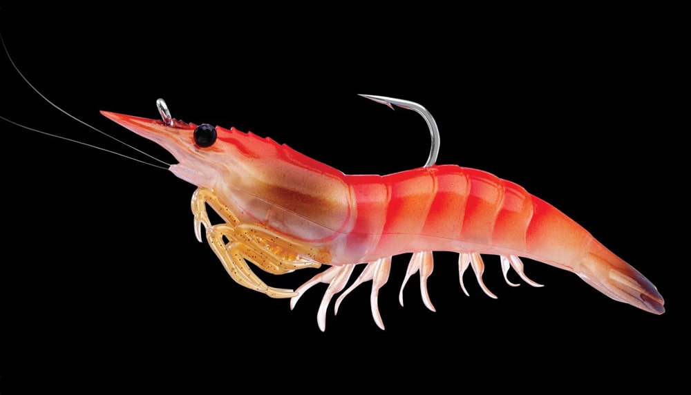 20 интересных фактов о креветках