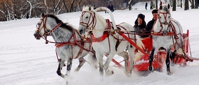 Идеальные отношения, или как муж жену воспитал