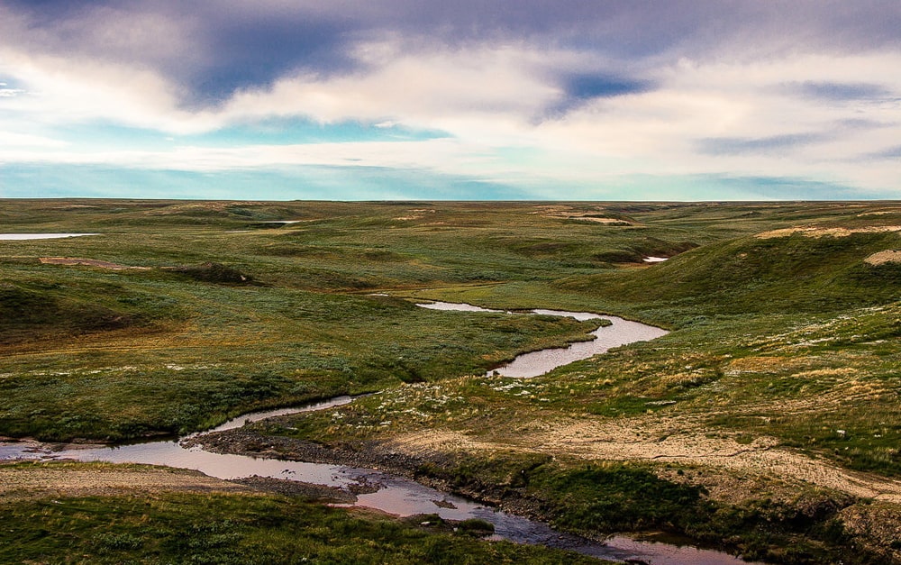 12 интересных фактов о тундре