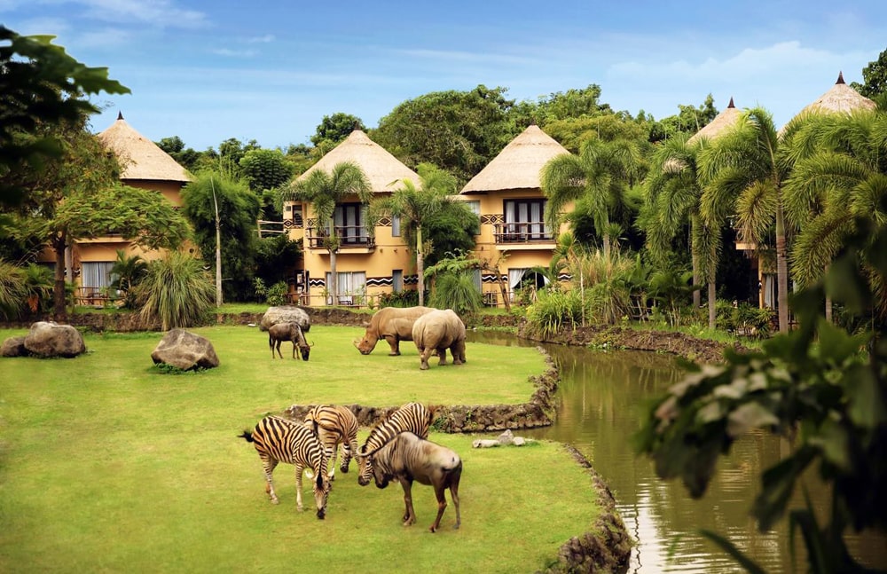 20 интересных фактов об Уганде