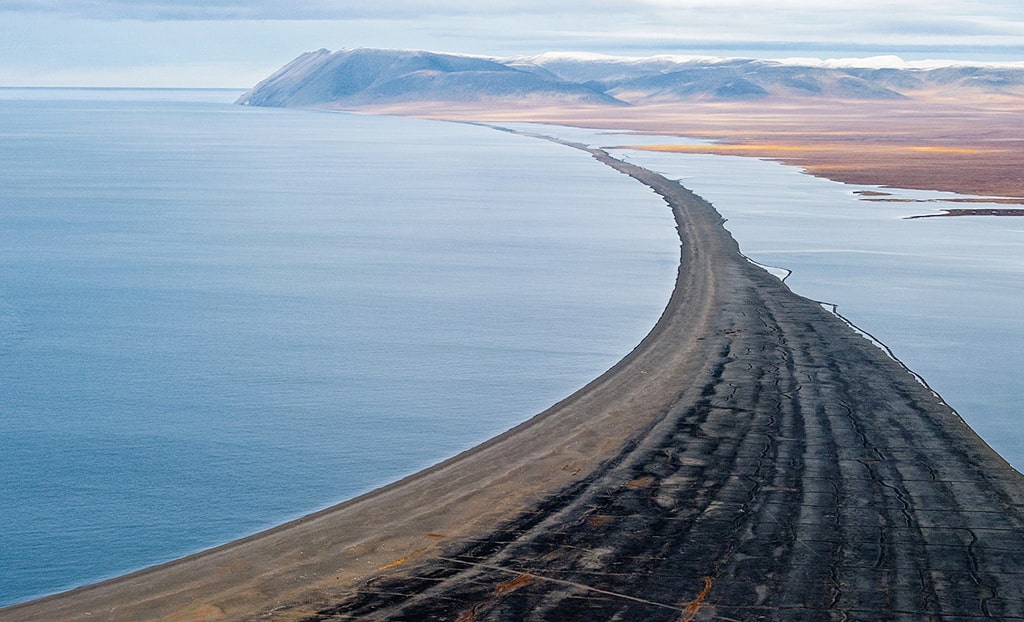 13 интересных фактов об острове Врангеля