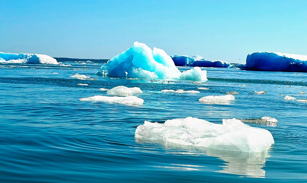 14 интересных фактов о Белом море