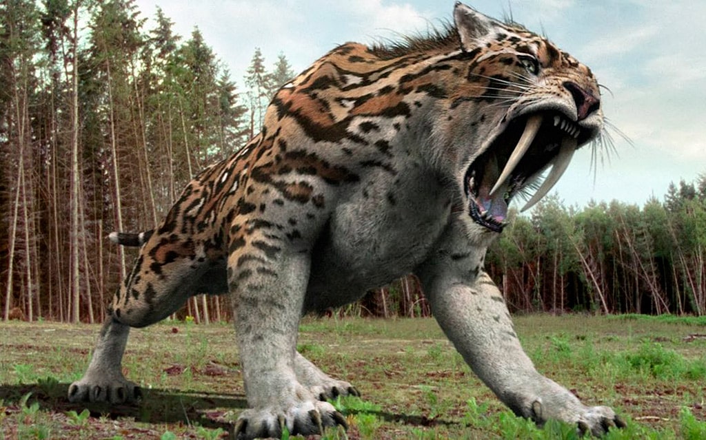 22 интересных факта о вымерших животных