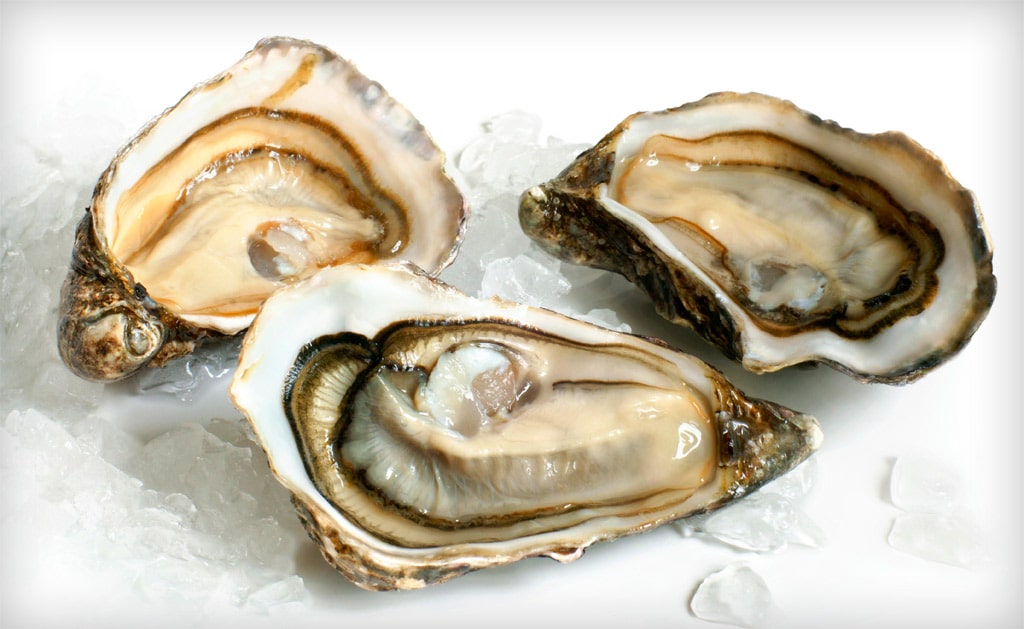 18 интересных фактов об устрицах