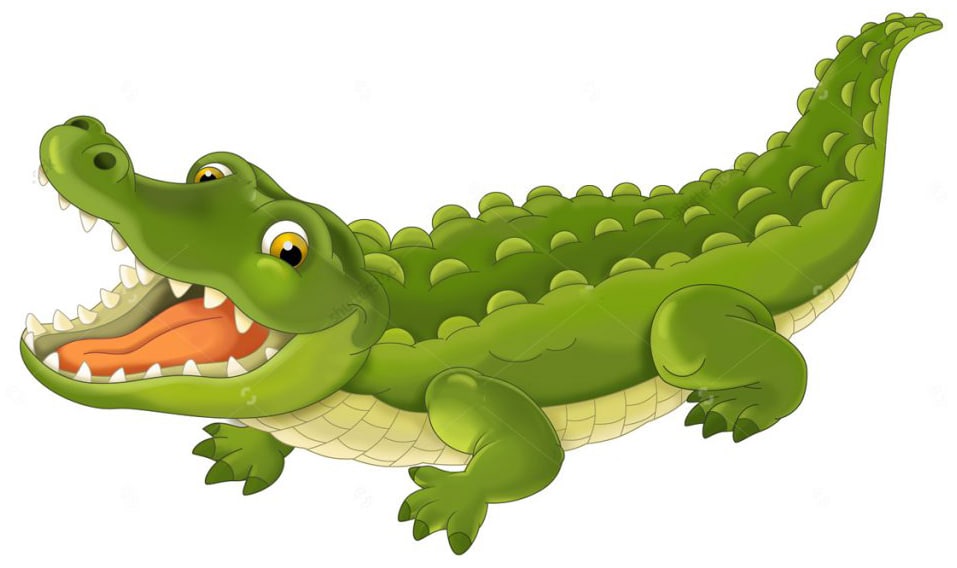 Интересные факты для детей