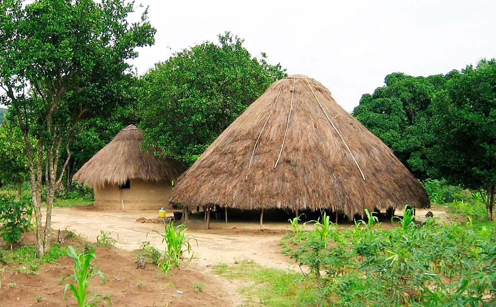 25 интересных фактов о Гвинее