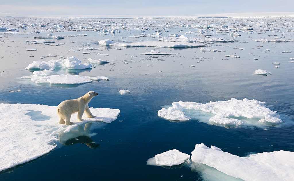 Гудзонов залив - описание, где находится