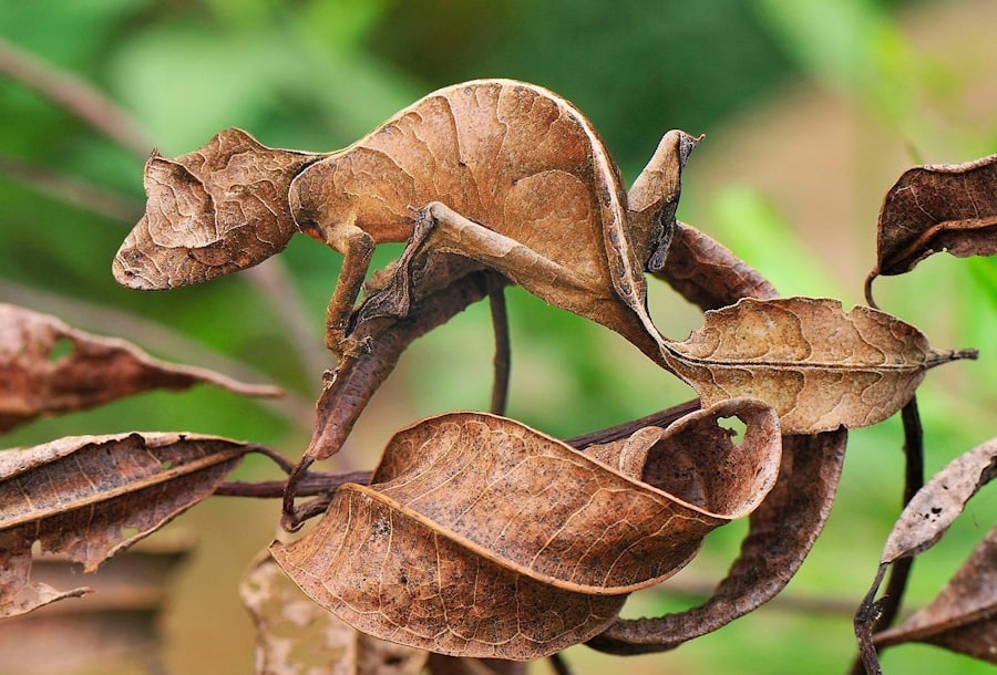 Самые невероятные факты
