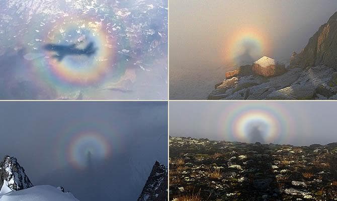 5 интересных фактов