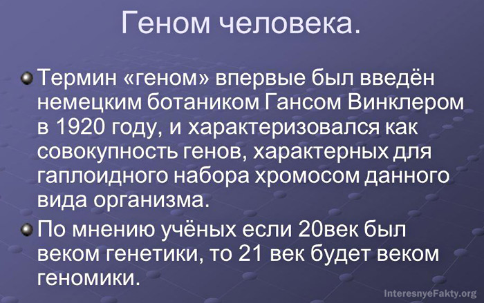 Гены человека - Что нужно знать про геном?
