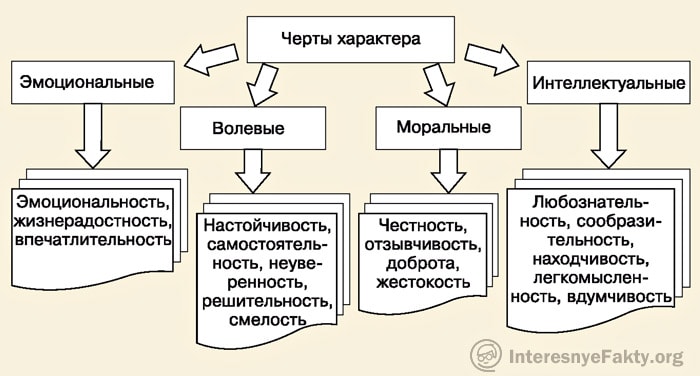 Что такое хаpaктер - Свойства и черты хаpaктера