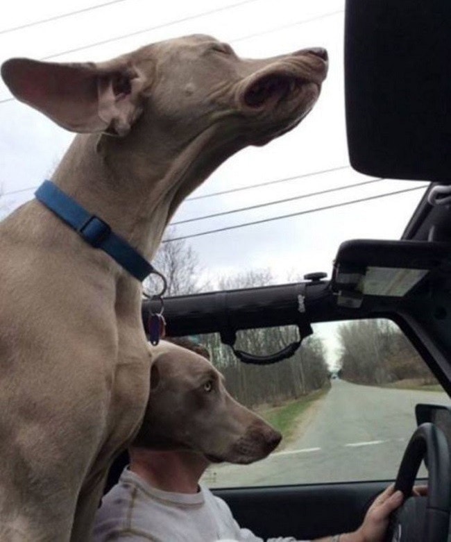 30 фото с обманом зрения