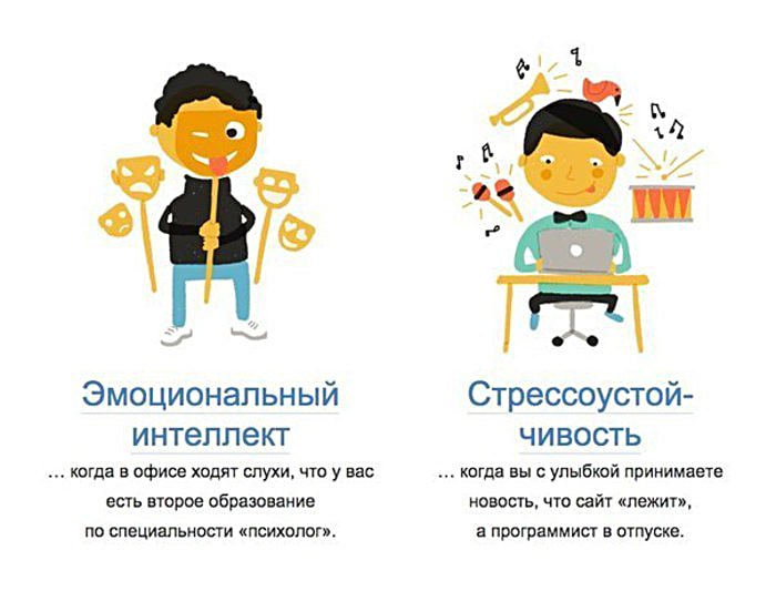 Что такое профессионализм – Смешные картинки