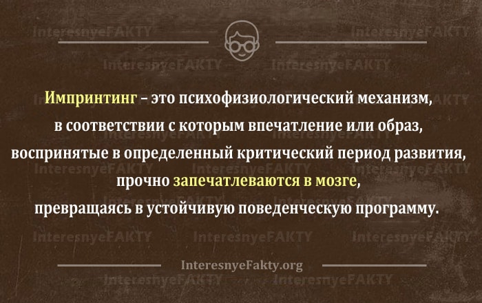 Импринтинг - Значение и примеры