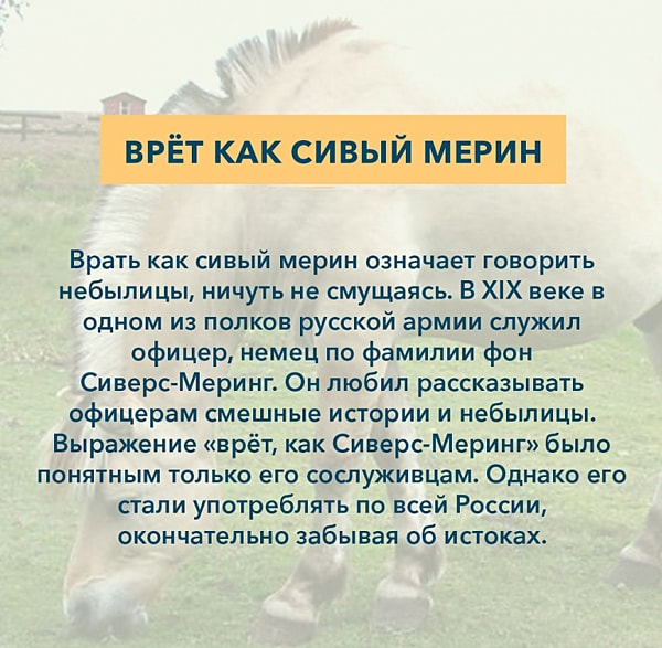 Крылатые выражения (1 часть)