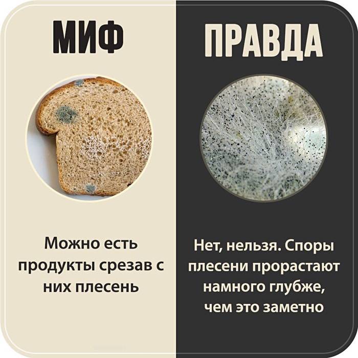7 популярных мифов &ndash; Интересные факты