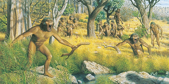 Одомашнивание животных