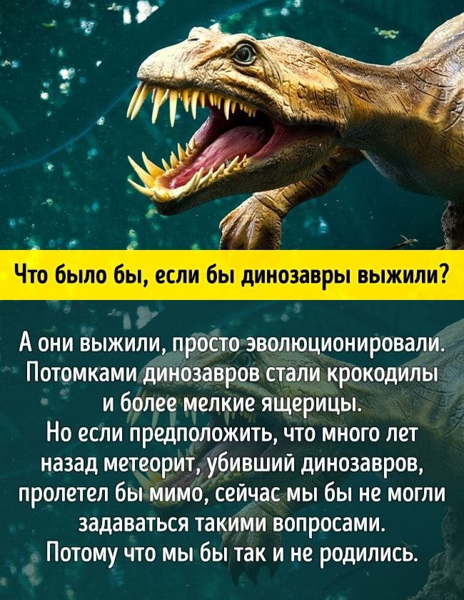 10 научных ответов на простые детские вопросы